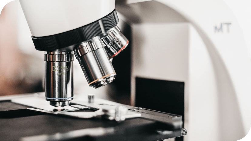 PATHELEN Hybrid an innovation in modern wound care