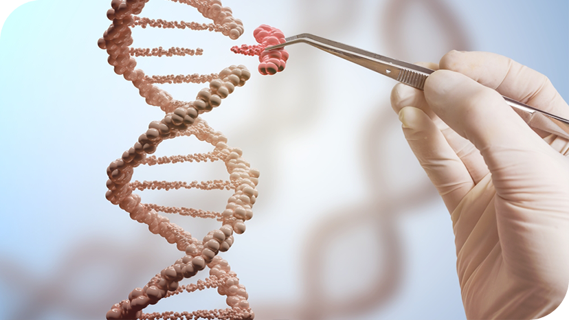 Growing into the future with gene editing